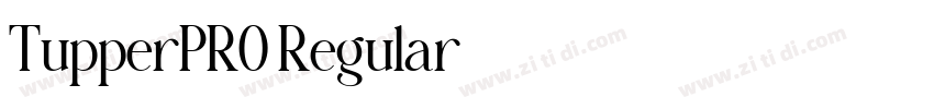 TupperPRO Regular字体转换